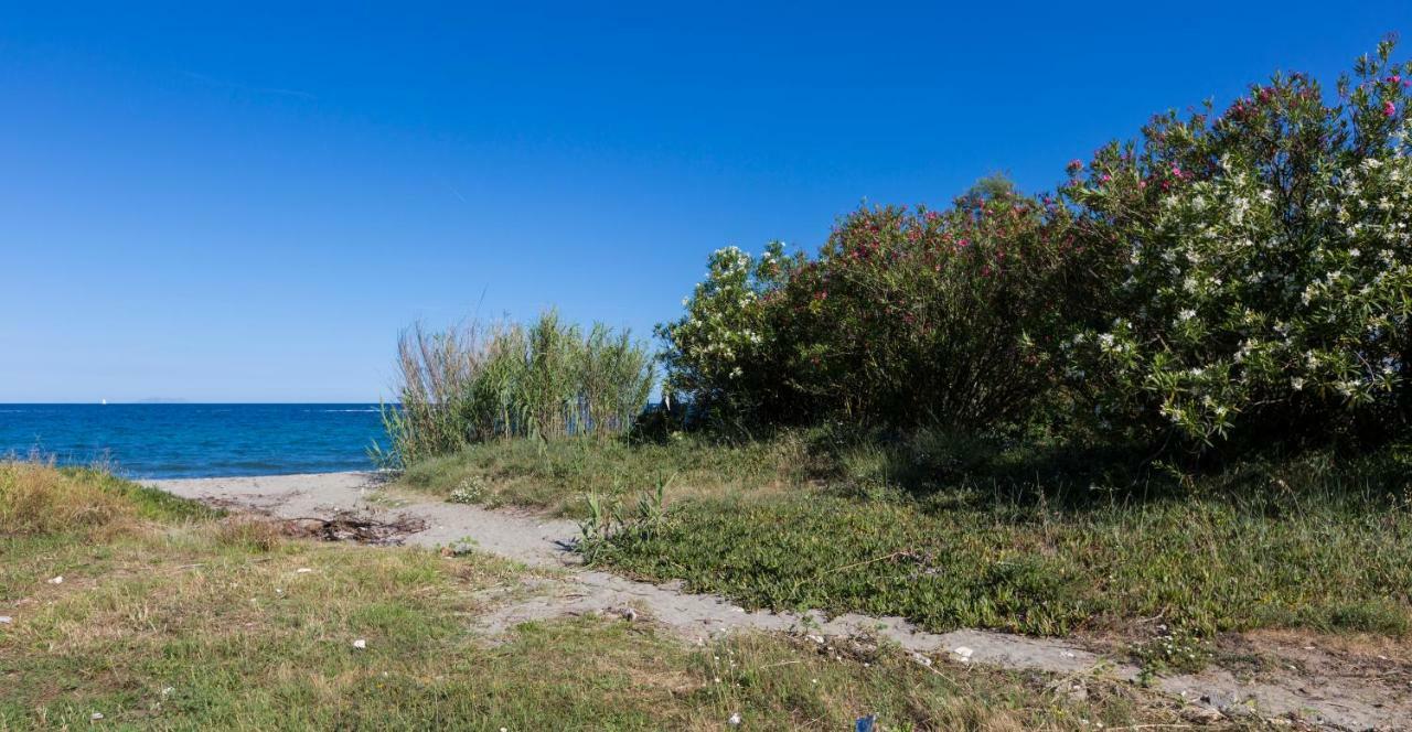 Poggio Mezzana Residence Odalys Acqua Bella מראה חיצוני תמונה